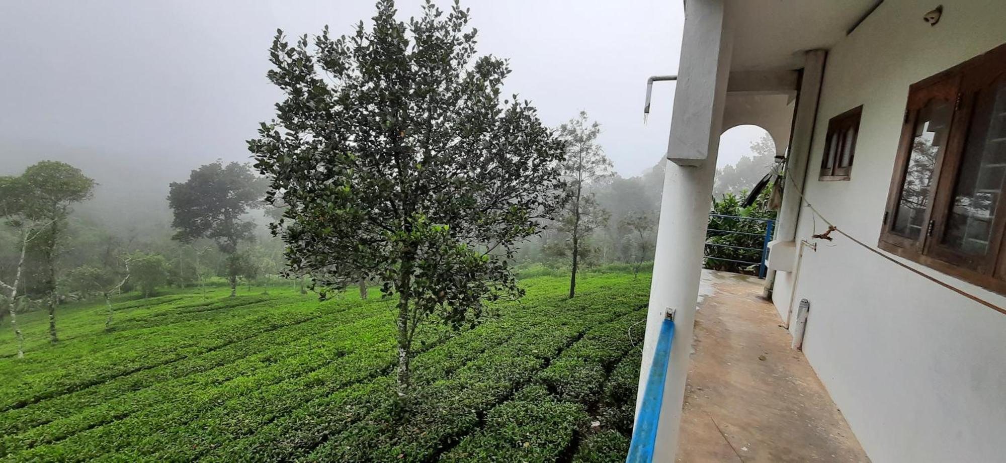 Best Mist Idukki Luaran gambar