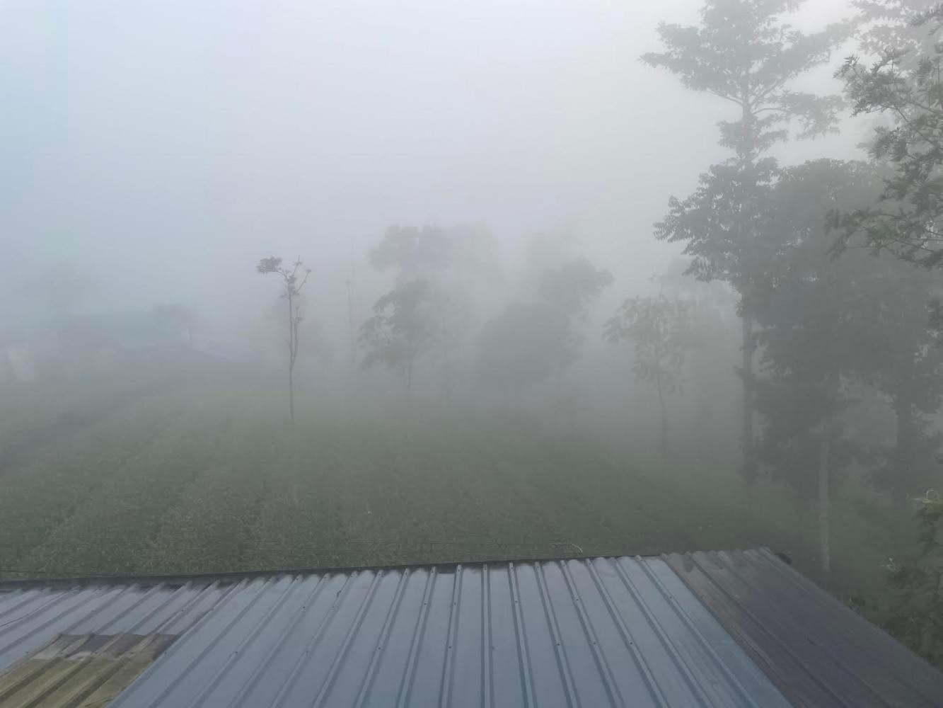 Best Mist Idukki Luaran gambar