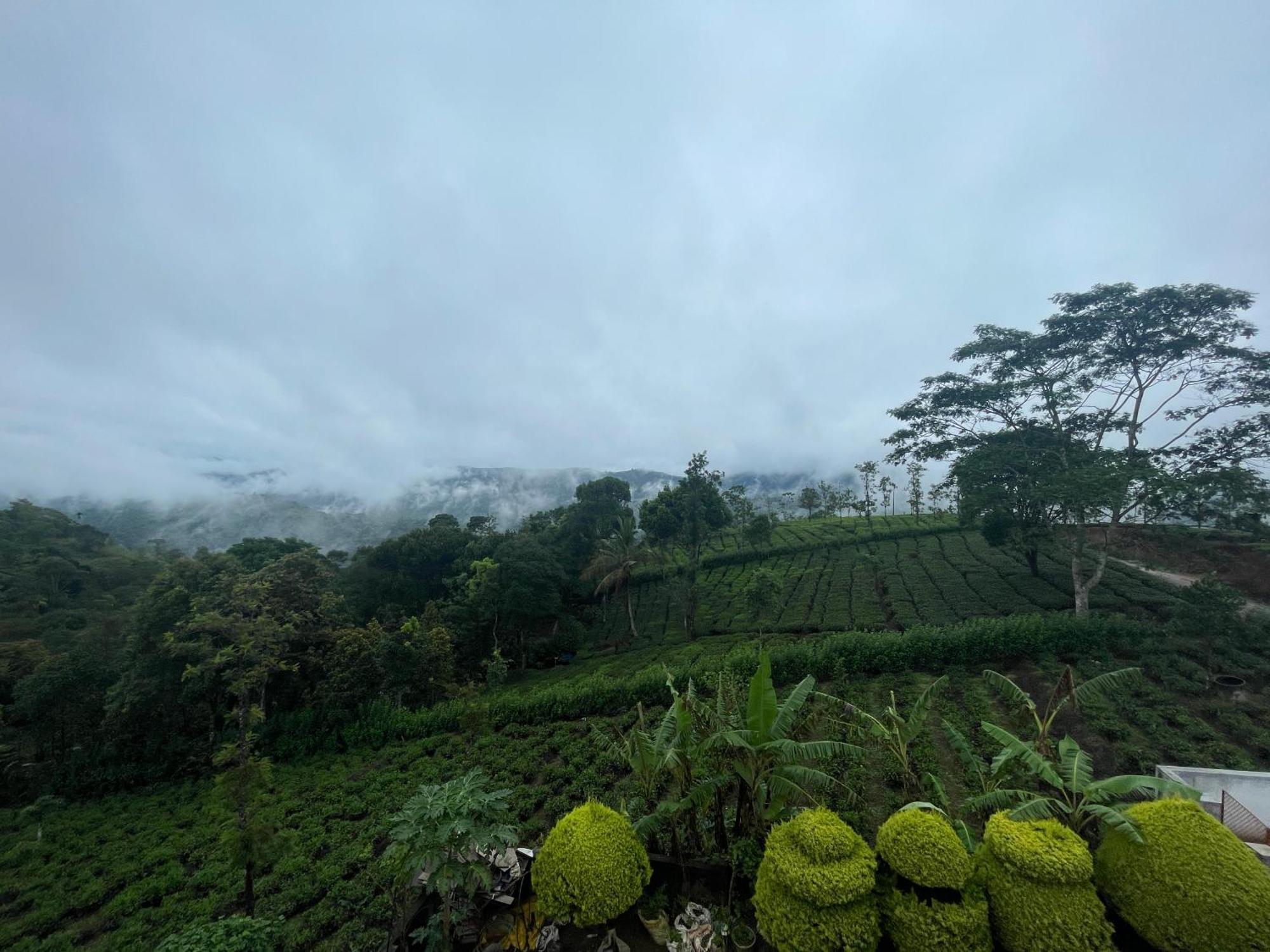 Best Mist Idukki Luaran gambar