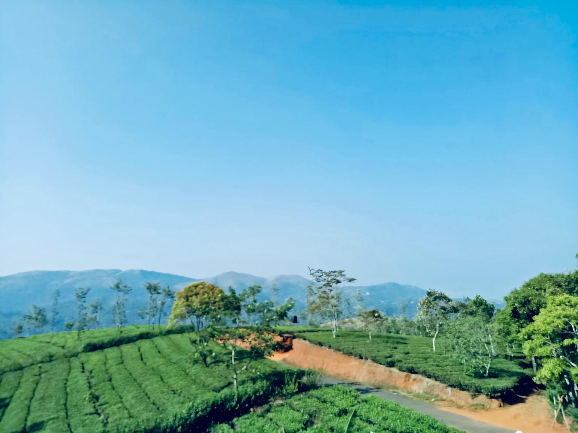 Best Mist Idukki Luaran gambar