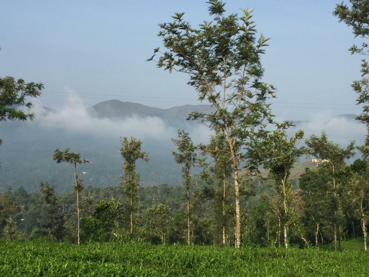 Best Mist Idukki Luaran gambar